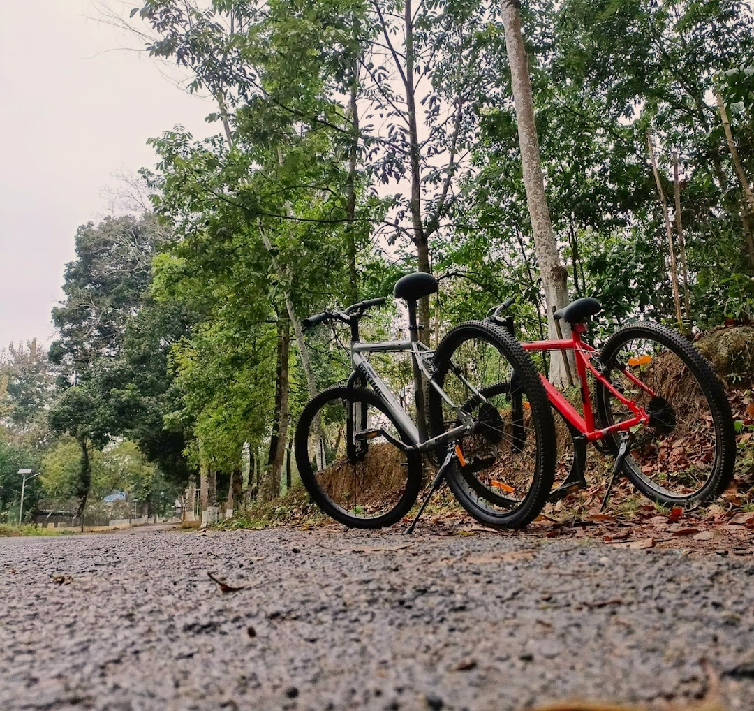 Keoladeo Bicycle Rides